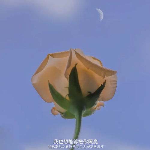 治愈系的背景图