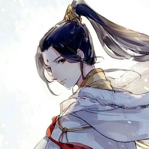 奈斯