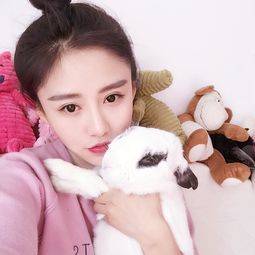 粉色堆糖,美好生活研究所