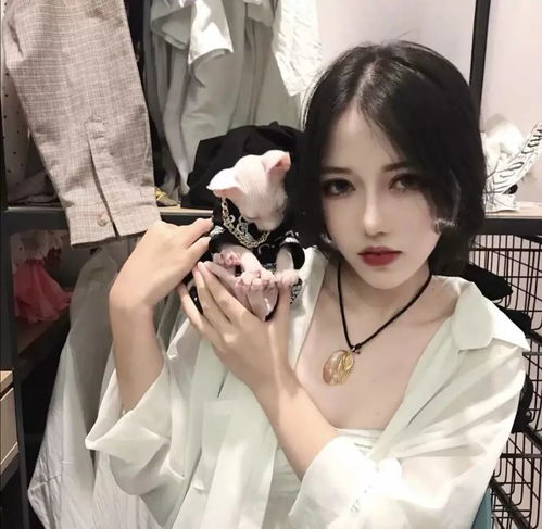 一组猫系女生头像,请签收