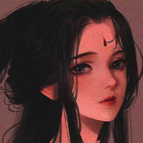 我的收藏夹