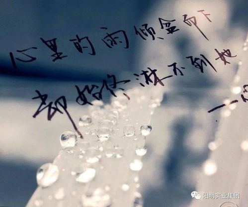 无标题