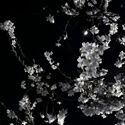 一眼就好中意的热搜文案