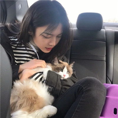 女生和猫狗在一起的头像2018奋斗正当时要么玩命要么逃避