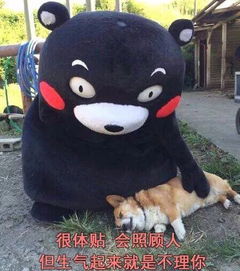 各种动物系女友标准来了,请大家对号入座