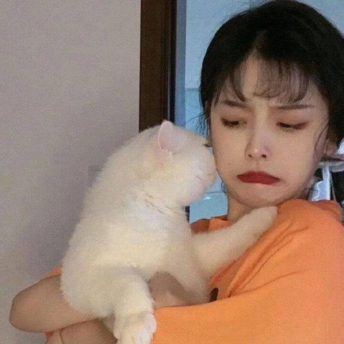 头像图片丨女生头像丨可爱的猫系女头1214