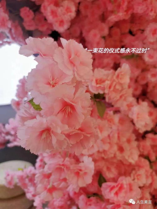很暖很治愈的短句子,干干净净的治愈系文案
