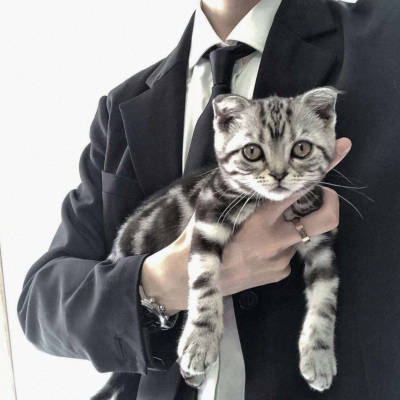 真人暖男超帅头像个性禁欲系暖男头像
