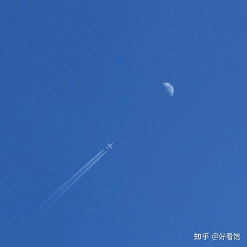 干净治愈系高清头像深蓝色