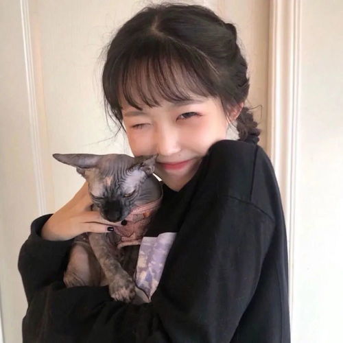 个性抱猫女生头像想你时我就是一颗山楂脸红又心酸