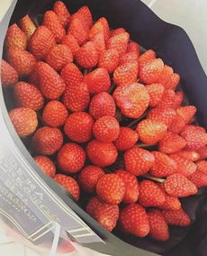 今年结婚不捧花棒一束草莓如何