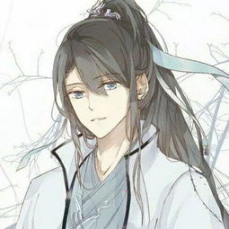 求魔道祖师高清美图想做抱枕