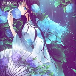 周天贻的美拍