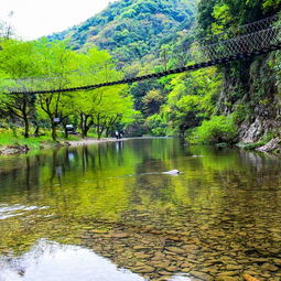 2020水墨汀溪风景区门票,泾县水墨汀溪风景区游玩攻略,水墨汀溪风景区游览攻略路线地址门票价格