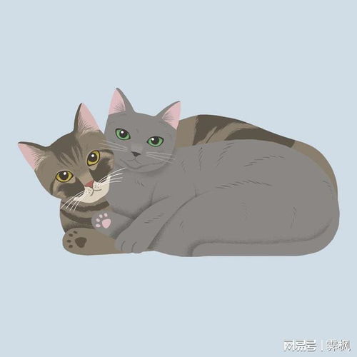 胖猫猫壁纸和头像