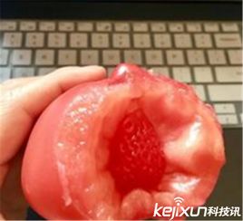 草莓系头像西红柿