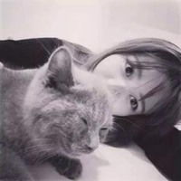 男生抱猫头像蓝色系微信头像图片大全