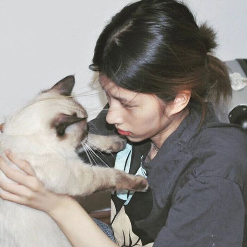猫奴头像丨你可以大大方方承认不喜欢