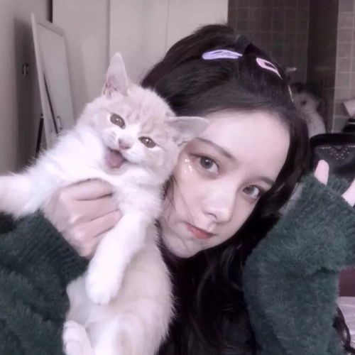 猫系头像女生真人版后继有人