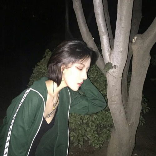 我们不合适还有下一句别傻了,你若盛开,清风自来