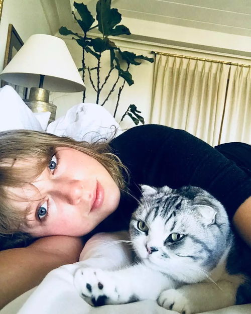 猫猫自拍头像高清