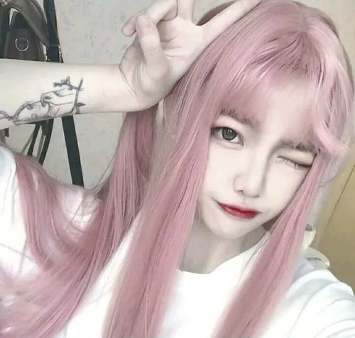 无标题