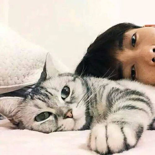 无语,为什么我的猫更喜欢男朋友