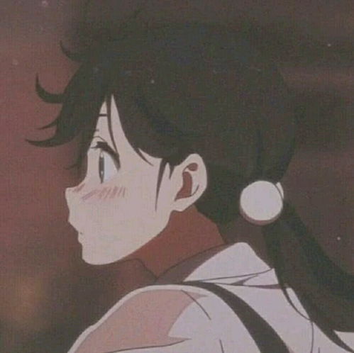 哔哩哔哩专栏
