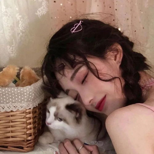 如何体面且有效地加到女生qq