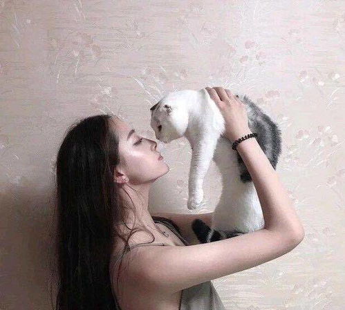 玩家的头像是用手抱猫,却被光子告知有风险因素,风险是什么