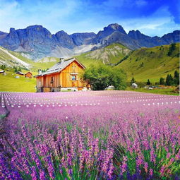 治愈系风景头像ins高级质感风景