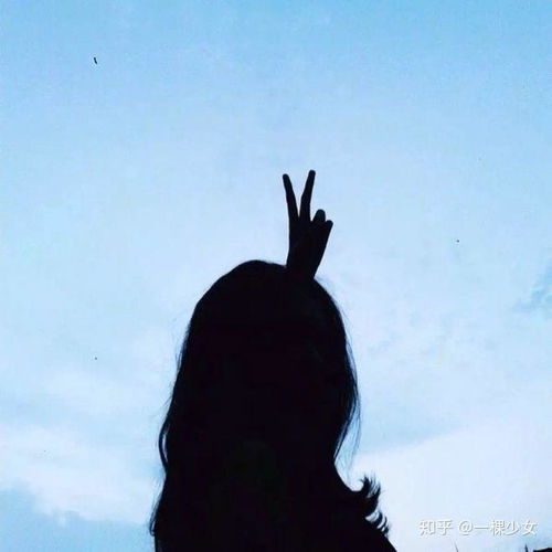 有什么软件专门收集动漫图片作为壁纸和头像的吗