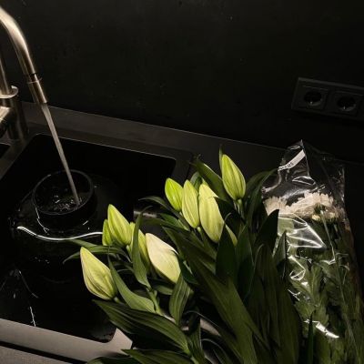 ins绿色系朋友圈背景图