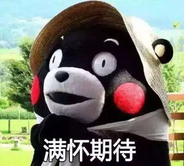 动物系女友对照表,你的女票是哪种