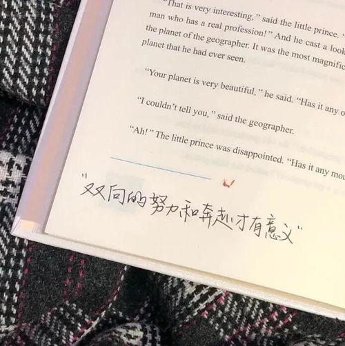 日更各种类型头像壁纸背景图
