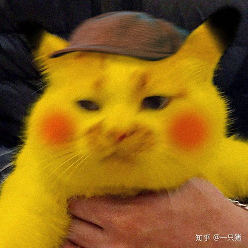 有什么男生用的沙雕头像