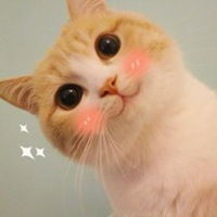 橘猫动漫头像