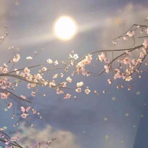 原话车间总第243期