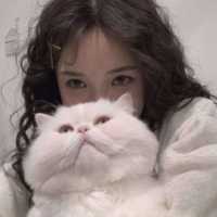 对象是猫系列情头头像
