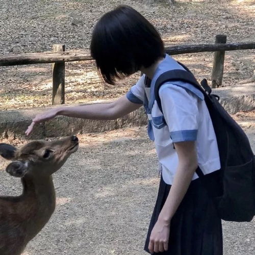 不露脸系列女头相思了无益