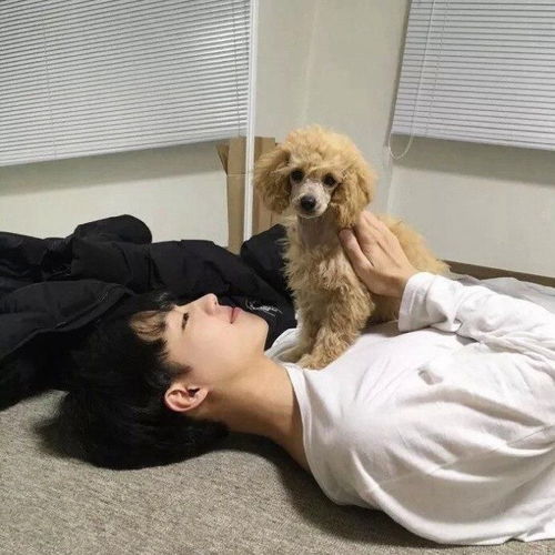 治愈系暖男用的头像