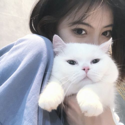抱猫拍女生头像你要看猫还是看我