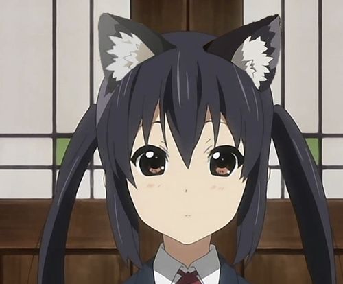 我喜欢猫系的女孩子,而不是犬系,你呢