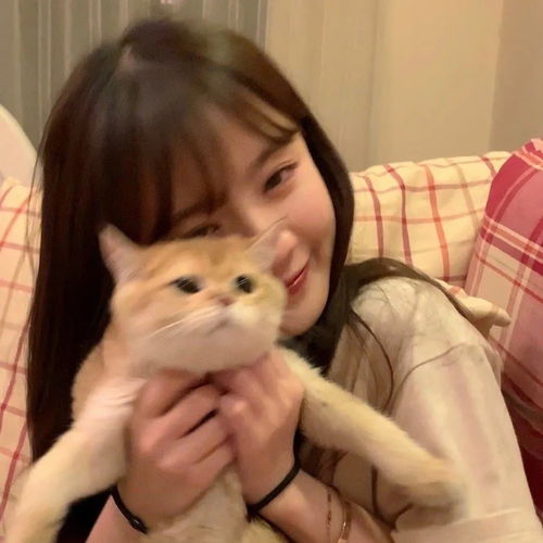 猫系头像女生ai公主切
