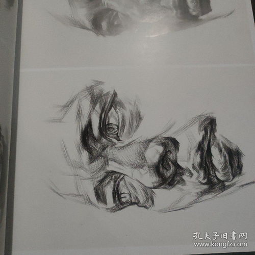 重磅素描头像