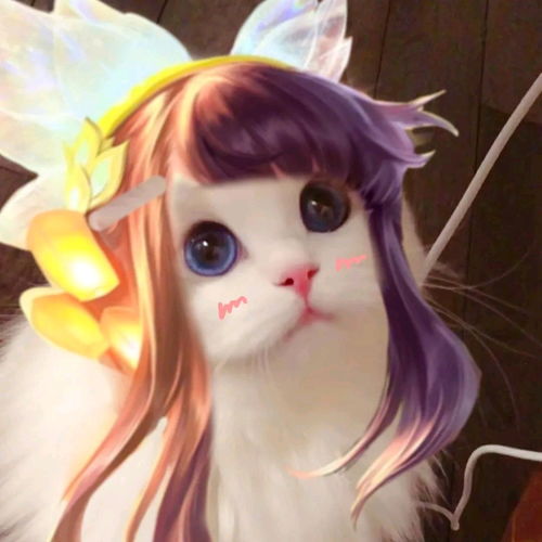 猫系头像女生ai童话世界
