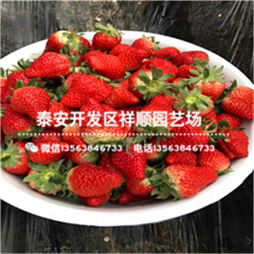 玉林黄页88网