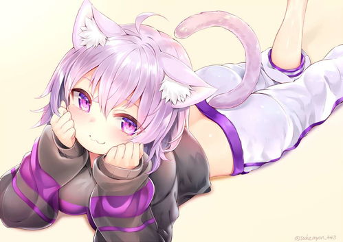 猫系二次元壁纸头像