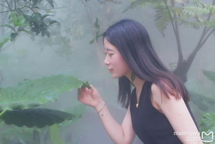 五月慢旅厦门来一场治愈系的毕业旅