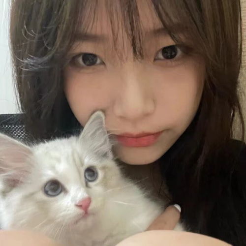 美少女头像,猫控报道,你是喵喵女神吗